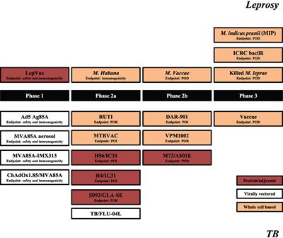 Vaccines for Leprosy and Tuberculosis: Opportunities for Shared Research, Development, and Application